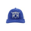 University of Kentucky Vintage Wildcat Corduroy Hat in Royal by Zephyr
