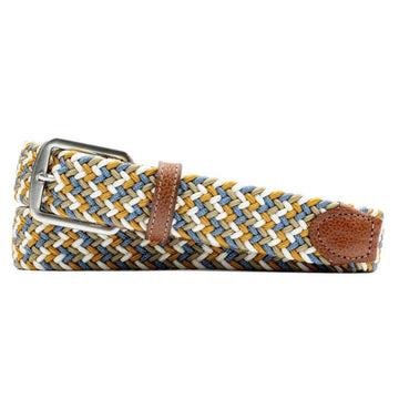 Newport Woven Italian Rayon Elastic Belt in Pina Colada Multi by Martin Dingman