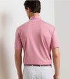 Dunnes Performance Jersey Polo in Chili Red by Peter Millar