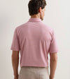 Jubilee Performance Jersey Polo in Chili Red by Peter Millar