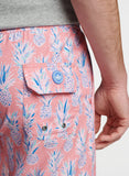 Pineapple In Paradise Swim Trunk in Coral Reef by Peter Millar