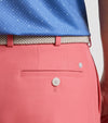 Salem Performance Short in Chili Red by Peter Millar
