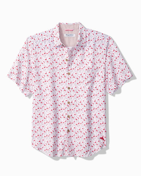 Veracruz Cay Flamingo Camp Shirt in White by Tommy Bahama – Logan's of ...