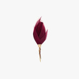 Match Me Plum Thicket Lapel Pin by Brackish
